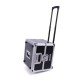 120 Trolley Record Case