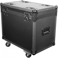 CASE FOR 2x WASH FX 300