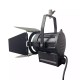 FRESNEL SPOT 1000W