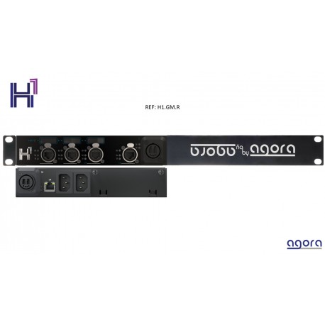 H1.GM.R